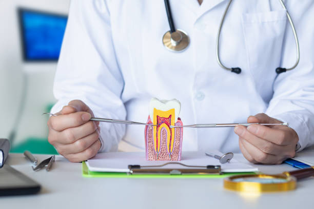 Best Emergency Orthodontic Repairs in Kingston, NJ